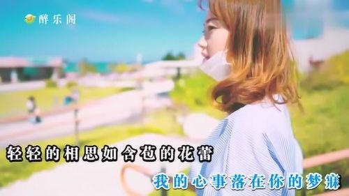 娱乐吃瓜小阿酱是谁啊小说